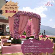 Wedding in Shimla